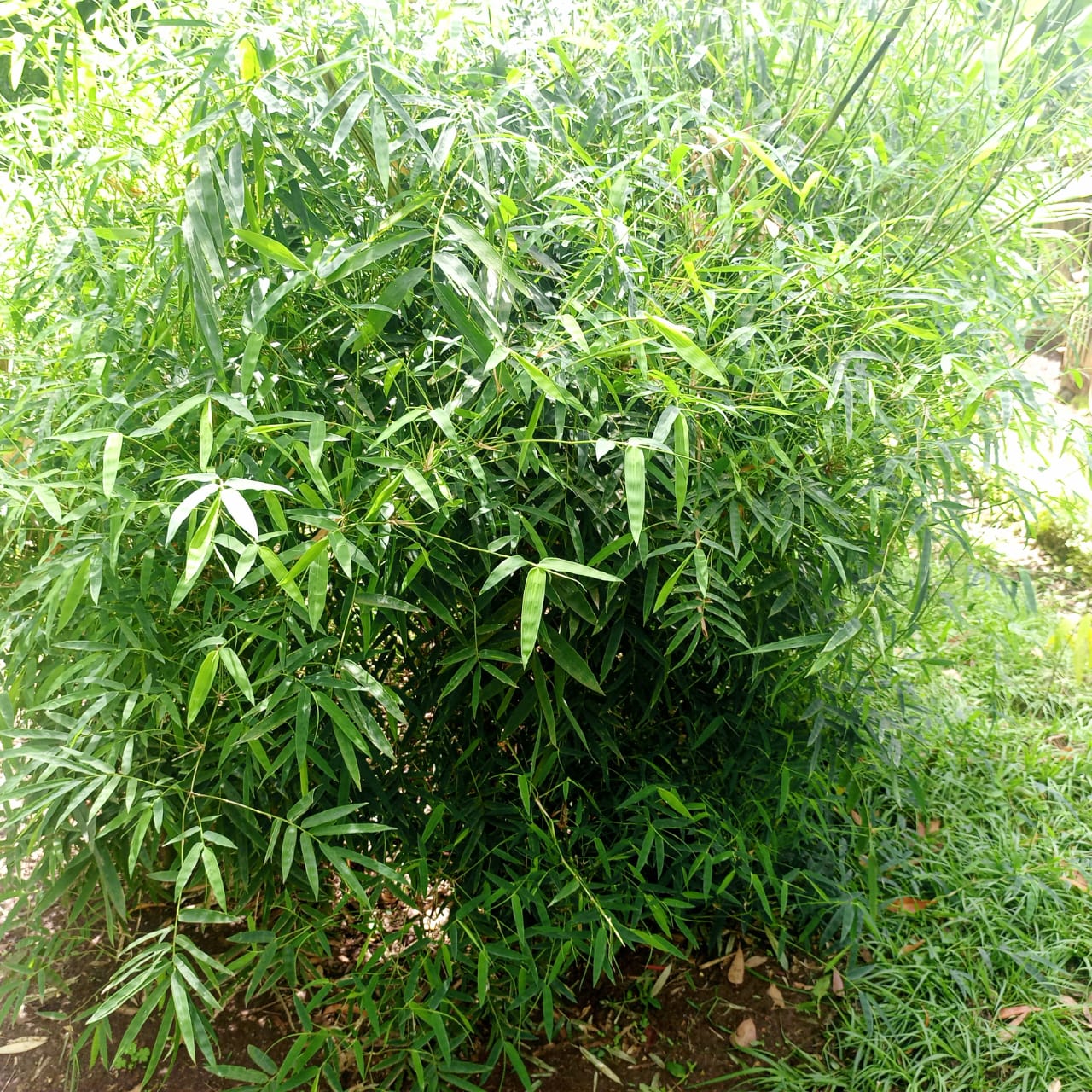 Environment 1