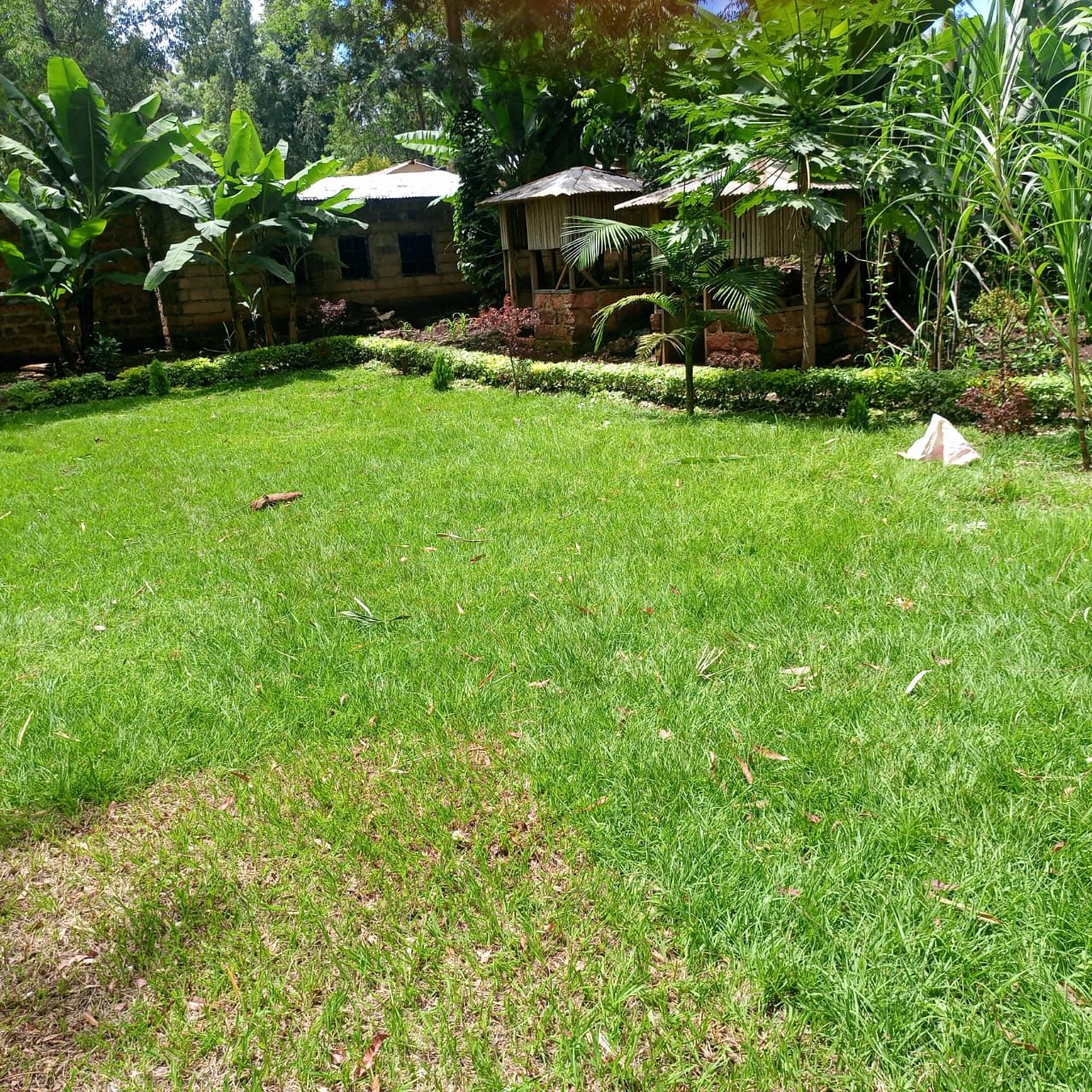 Environment 2
