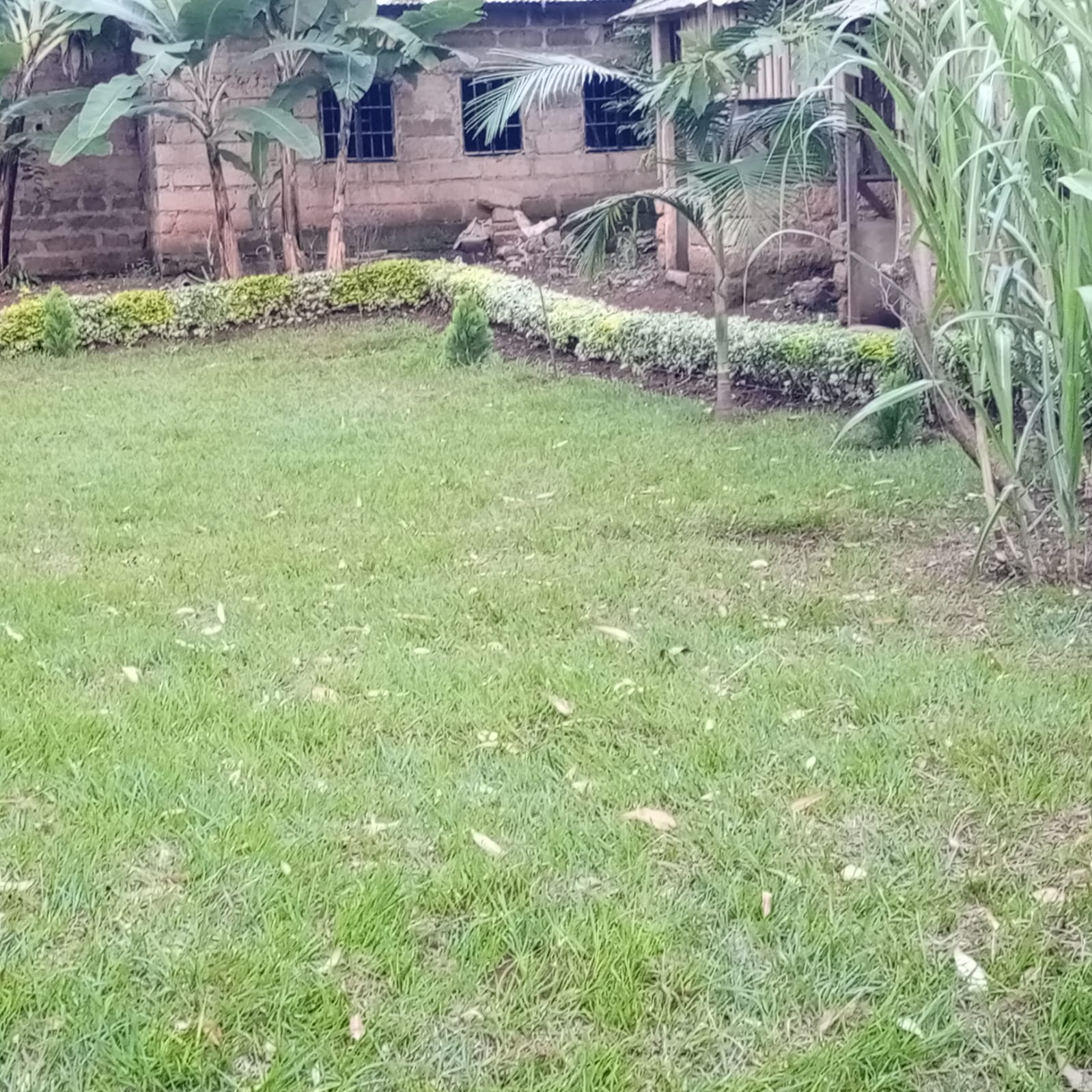 Environment 4